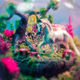 Illustration for article titled emStar Wars/em terrariums bring a little piece of Dagobah into your home